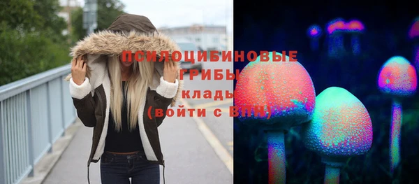 первитин Лиски