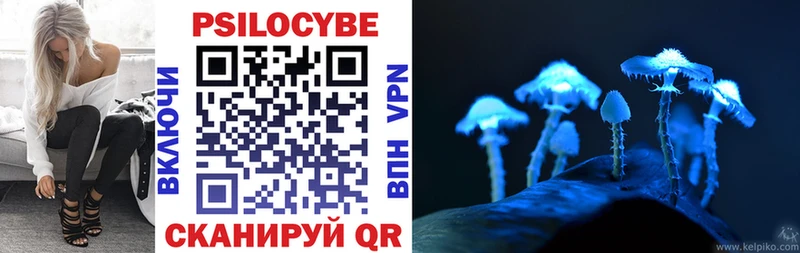 kraken маркетплейс Горячеводский Галлюциногенные грибы Psilocybine cubensis